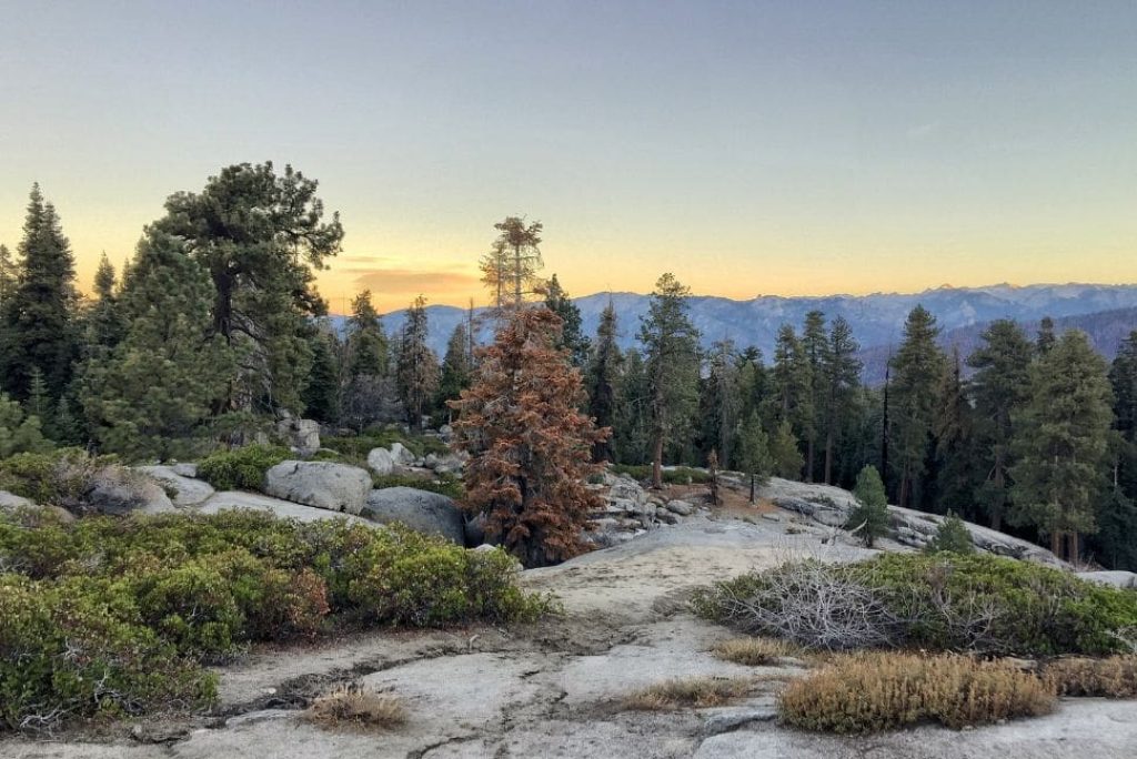What Are the Rules and Regulations for Sequoia National Park?