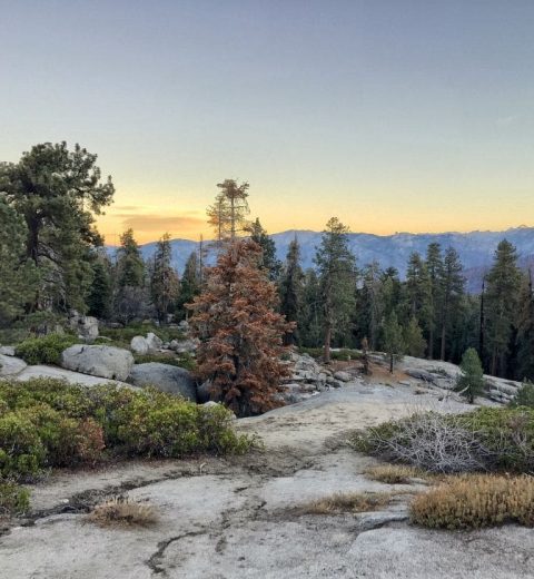 When Should I Visit Sequoia National Park?