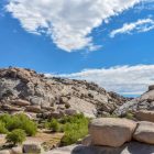 Can you do a day trip to Joshua Tree?