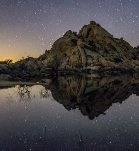 What should you not miss in Joshua Tree?