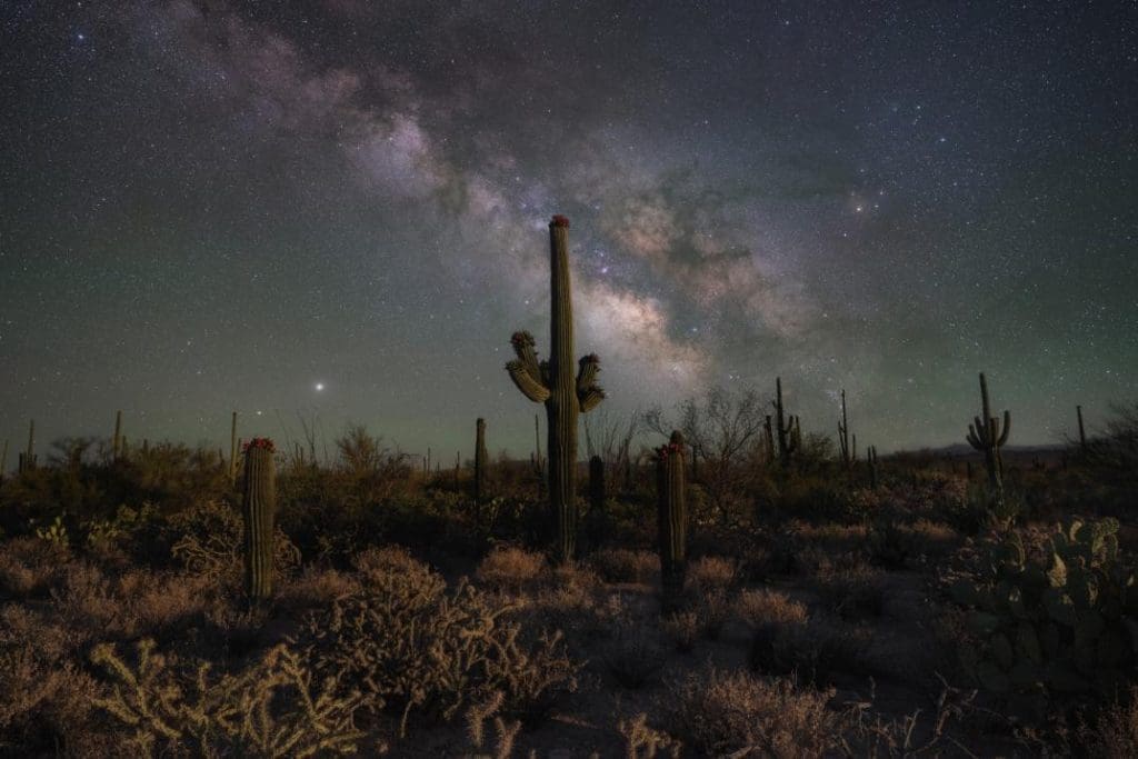 Milky Way Visible at Saguaro National Park