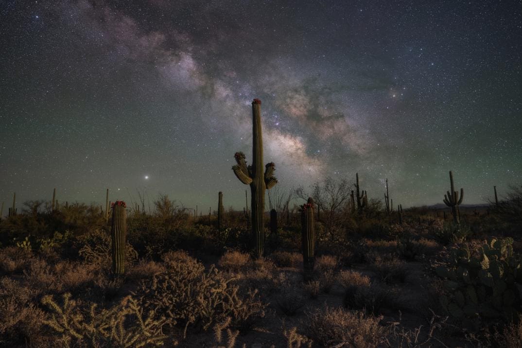 Can You See the Milky Way in Saguaro National Park?