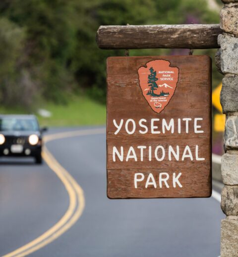 What is the best tour of Yellowstone National Park?